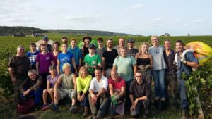 Les Vendanges en 2017 au Domaine.