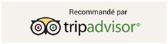 trip-advisor